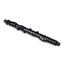 Honda D-Serie SOHC VTEC Kamaxel Stage 4 Skunk2
